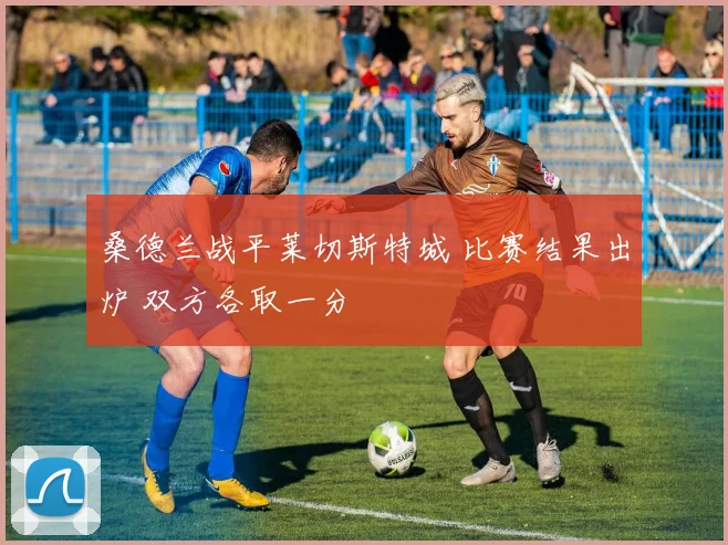 桑德兰战平莱切斯特城 比赛结果出炉 双方各取一分