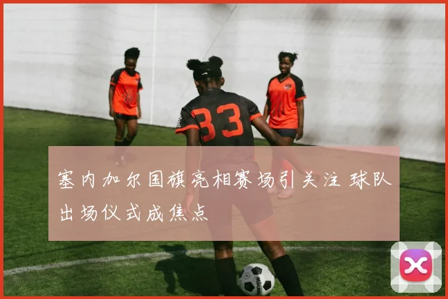 塞内加尔国旗亮相赛场引关注 球队出场仪式成焦点