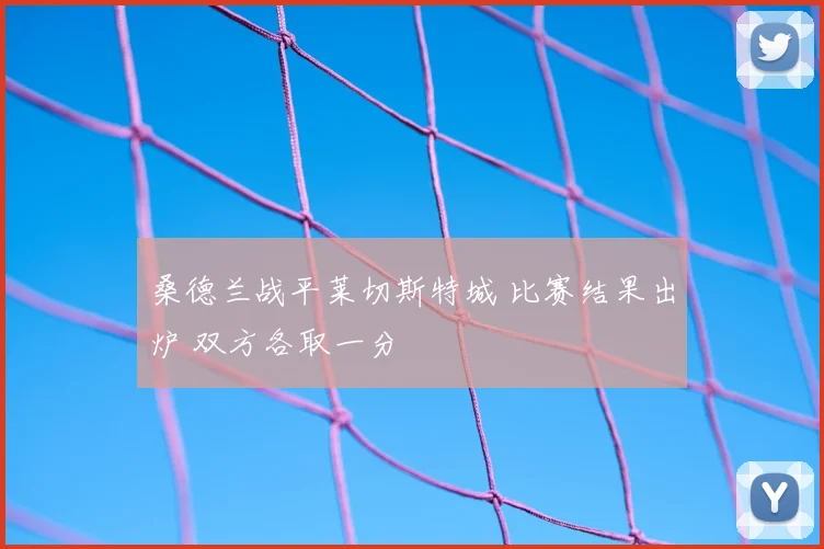桑德兰战平莱切斯特城 比赛结果出炉 双方各取一分